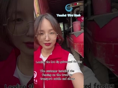 सजावटी तार जाल त्रिभुज बाड़ पैनल उच्च सुरक्षा अनुकूलित रंग