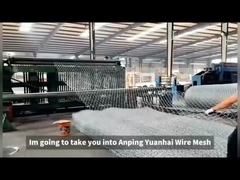 ढलान संरक्षण के लिए पीवीसी / हॉट-डिप गैल्वेनाइज्ड आयरन वायर गैबियन वायर मेश